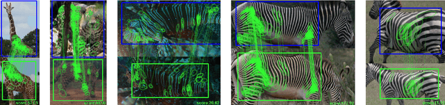 Figure 3 for HotSpotter - Patterned Species Instance Recognition