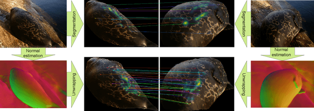 Figure 4 for Unsupervised Pelage Pattern Unwrapping for Animal Re-identification