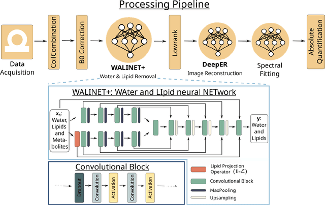 Figure 1 for Deep learning water-unsuppressed MRSI at ultra-high field for simultaneous quantitative metabolic, susceptibility and myelin water imaging