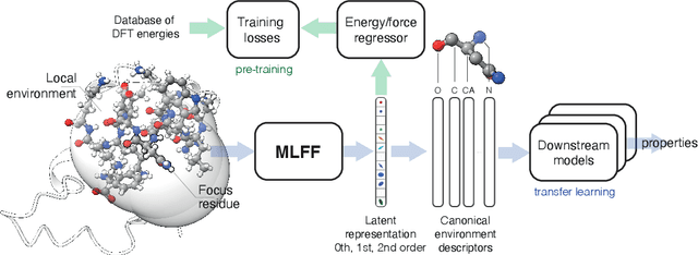 Figure 1 for Representing local protein environments with atomistic foundation models