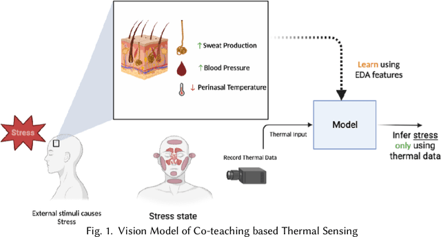 Figure 1 for "Reading Between the Heat": Co-Teaching Body Thermal Signatures for Non-intrusive Stress Detection