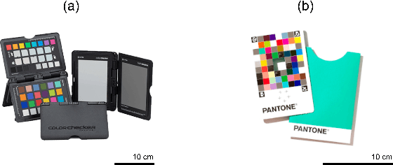 Figure 1 for Image color consistency in datasets: the Smooth-TPS3D method