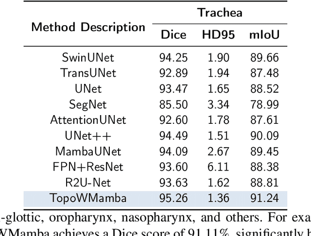 Figure 4 for Topology-Aware Wavelet Mamba for Airway Structure Segmentation in Postoperative Recurrent Nasopharyngeal Carcinoma CT Scans