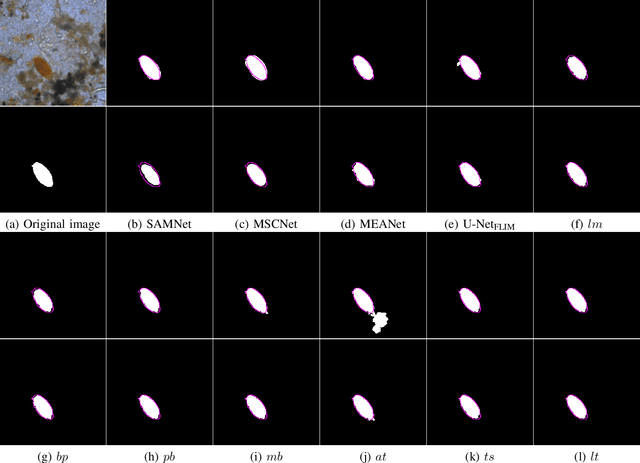 Figure 3 for FLIM-based Salient Object Detection Networks with Adaptive Decoders