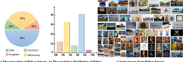 Figure 1 for Exploring Real&Synthetic Dataset and Linear Attention in Image Restoration