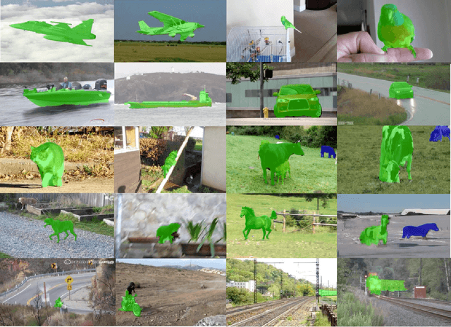 Figure 2 for Context Propagation from Proposals for Semantic Video Object Segmentation