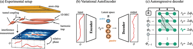 Figure 1 for Learning Minimal Representations of Many-Body Physics from Snapshots of a Quantum Simulator