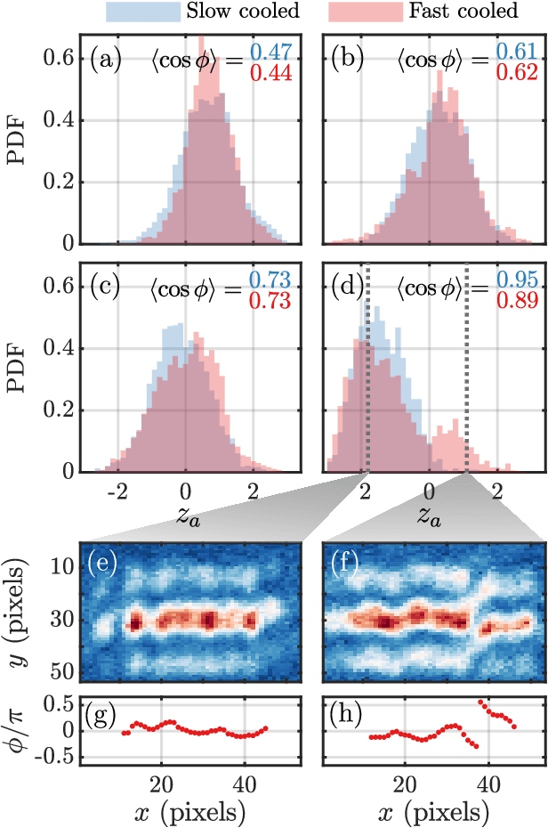 Figure 3 for Learning Minimal Representations of Many-Body Physics from Snapshots of a Quantum Simulator