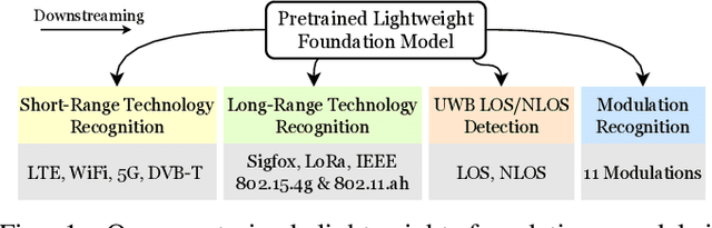 Figure 1 for Lightweight Foundation Model for Wireless Time Series Downstream Tasks on Edge Devices