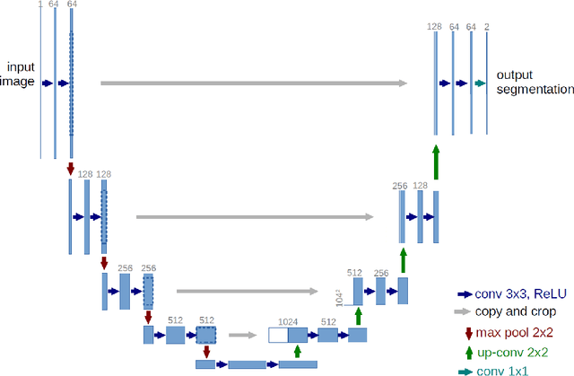 Figure 1 for Double U-Net for Super-Resolution and Segmentation of Live Cell Images