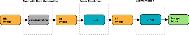 Figure 3 for Double U-Net for Super-Resolution and Segmentation of Live Cell Images