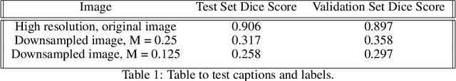 Figure 2 for Double U-Net for Super-Resolution and Segmentation of Live Cell Images