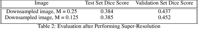 Figure 4 for Double U-Net for Super-Resolution and Segmentation of Live Cell Images