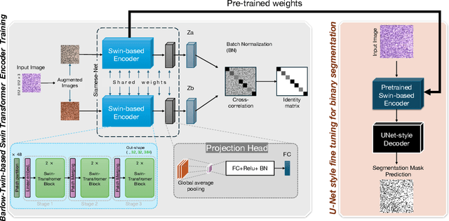 Figure 1 for Barlow-Swin: Toward a novel siamese-based segmentation architecture using Swin-Transformers