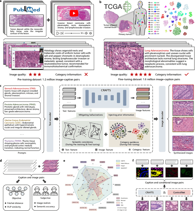 Figure 1 for A Semantically Enhanced Generative Foundation Model Improves Pathological Image Synthesis