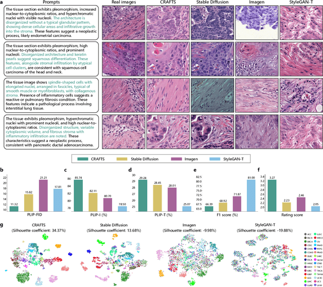 Figure 2 for A Semantically Enhanced Generative Foundation Model Improves Pathological Image Synthesis
