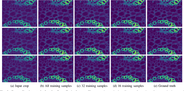 Figure 2 for Generalizable Denoising of Microscopy Images using Generative Adversarial Networks and Contrastive Learning