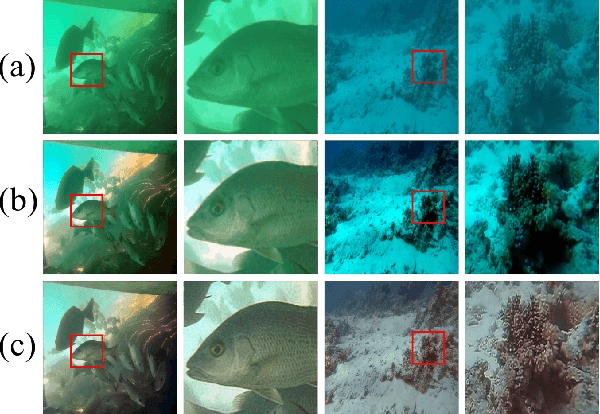 Figure 2 for JDPNet: A Network Based on Joint Degradation Processing for Underwater Image Enhancement