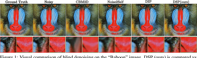 Figure 1 for Deep Spectral Prior