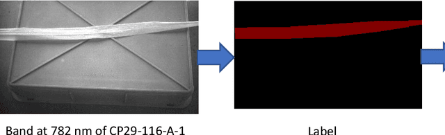 Figure 3 for Determining Mosaic Resilience in Sugarcane Plants using Hyperspectral Images