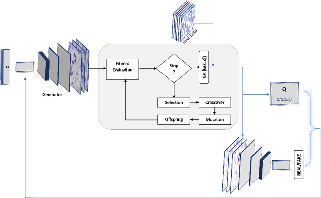 Figure 3 for GAN-GA: A Generative Model based on Genetic Algorithm for Medical Image Generation
