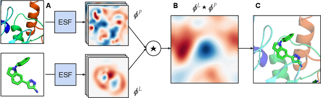 Figure 1 for Equivariant Scalar Fields for Molecular Docking with Fast Fourier Transforms