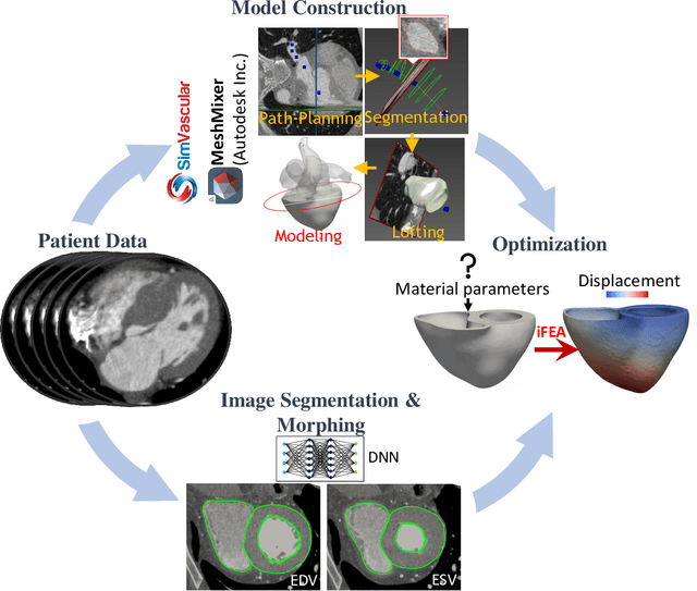 Figure 1 for An Optimization Framework to Personalize Passive Cardiac Mechanics