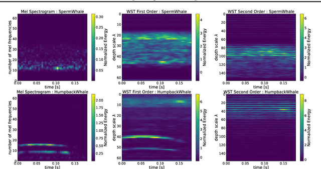 Figure 1 for Wavelet Scattering Transform for Bioacustics: Application to Watkins Marine Mammal Sound Database