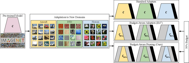 Figure 1 for Budget-Aware Pruning: Handling Multiple Domains with Less Parameters
