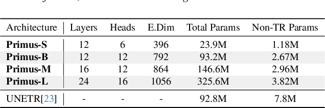 Figure 4 for Primus: Enforcing Attention Usage for 3D Medical Image Segmentation