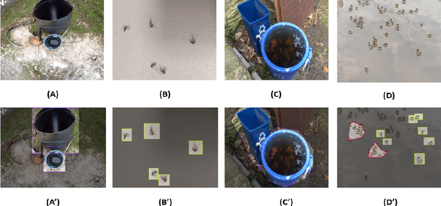 Figure 1 for MosquitoFusion: A Multiclass Dataset for Real-Time Detection of Mosquitoes, Swarms, and Breeding Sites Using Deep Learning