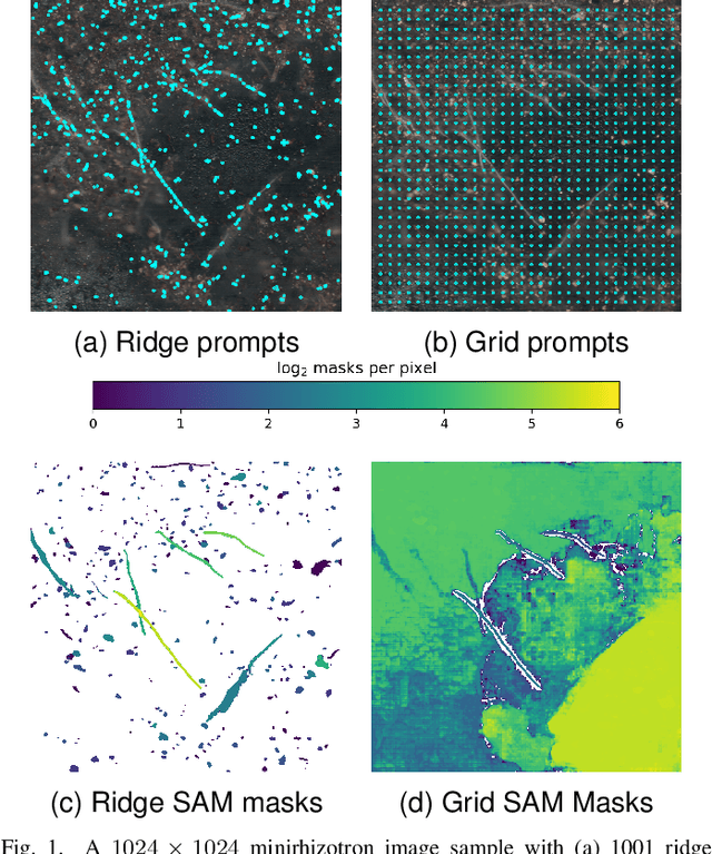 Figure 1 for Geometric Feature Prompting of Image Segmentation Models