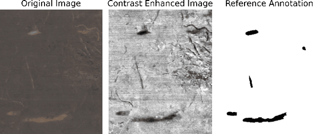 Figure 2 for Geometric Feature Prompting of Image Segmentation Models