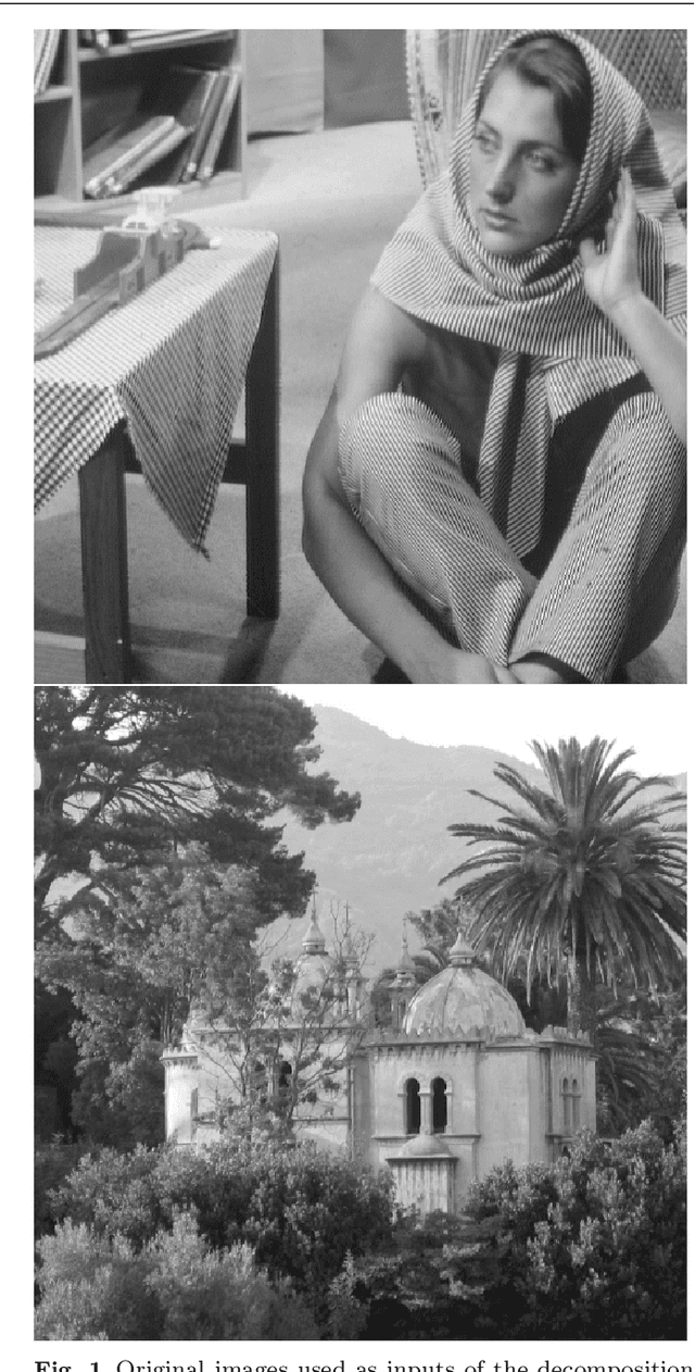 Figure 1 for Bregman implementation of Meyer's $G-$norm for cartoon + textures decomposition