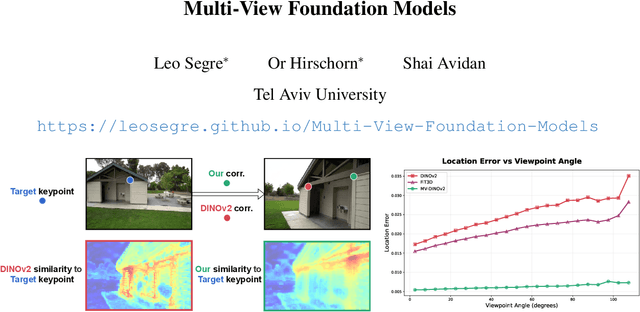 Figure 1 for Multi-View Foundation Models