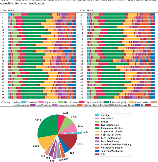 Figure 2 for Cataract-1K: Cataract Surgery Dataset for Scene Segmentation, Phase Recognition, and Irregularity Detection