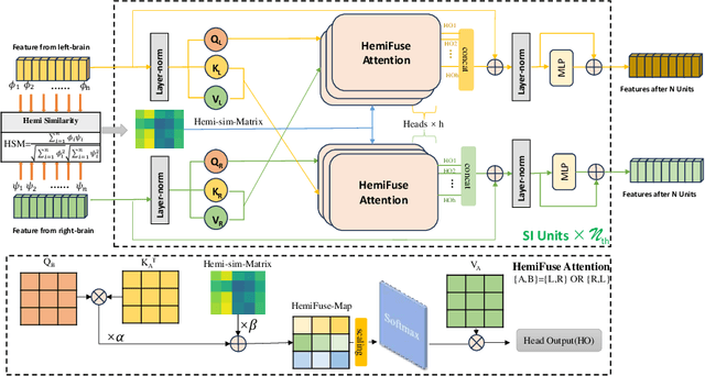 Figure 3 for Symmetry Interactive Transformer with CNN Framework for Diagnosis of Alzheimer's Disease Using Structural MRI