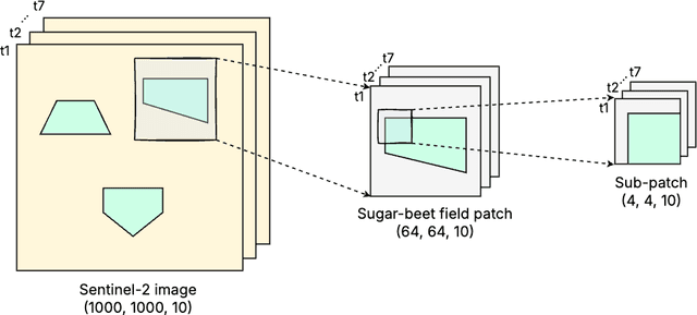 Figure 3 for Sugar-Beet Stress Detection using Satellite Image Time Series