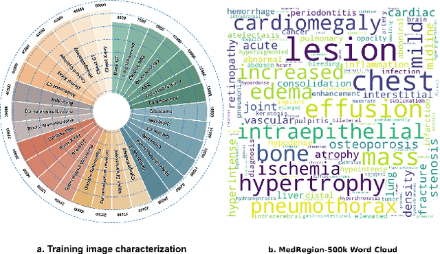 Figure 1 for RegionMed-CLIP: A Region-Aware Multimodal Contrastive Learning Pre-trained Model for Medical Image Understanding