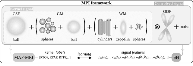 Figure 1 for Microscopic Propagator Imaging (MPI) with Diffusion MRI