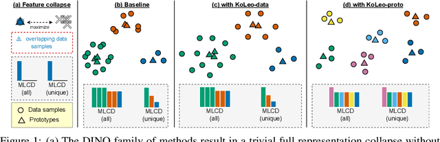 Figure 1 for On Partial Prototype Collapse in the DINO Family of Self-Supervised Methods