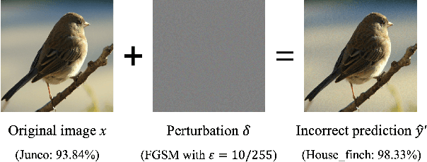 Figure 2 for Leveraging Generalizability of Image-to-Image Translation for Enhanced Adversarial Defense