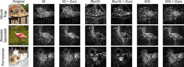 Figure 1 for Riemann Sum Optimization for Accurate Integrated Gradients Computation