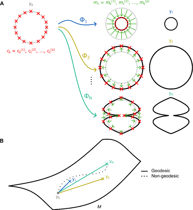 Figure 3 for Shape Modeling of Longitudinal Medical Images: From Diffeomorphic Metric Mapping to Deep Learning