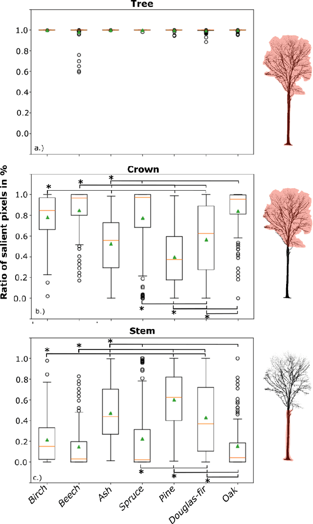 Figure 4 for Enhancing Tree Species Classification: Insights from YOLOv8 and Explainable AI Applied to TLS Point Cloud Projections