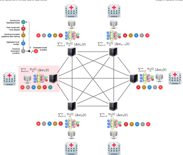 Figure 1 for Benchmarking federated strategies in Peer-to-Peer Federated learning for biomedical data