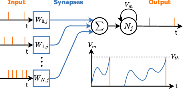 Figure 2 for LOKI: a 0.266 pJ/SOP Digital SNN Accelerator with Multi-Cycle Clock-Gated SRAM in 22nm