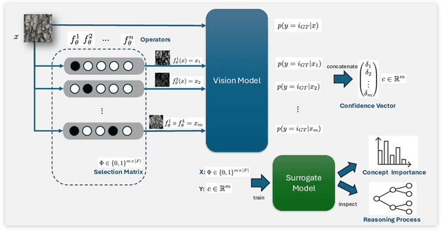 Figure 3 for BarkXAI: A Lightweight Post-Hoc Explainable Method for Tree Species Classification with Quantifiable Concepts