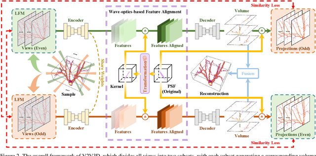 Figure 3 for V2V3D: View-to-View Denoised 3D Reconstruction for Light-Field Microscopy