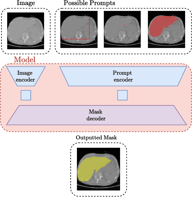 Figure 3 for RadSAM: Segmenting 3D radiological images with a 2D promptable model